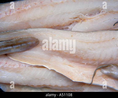 Large cod fillets Stock Photo