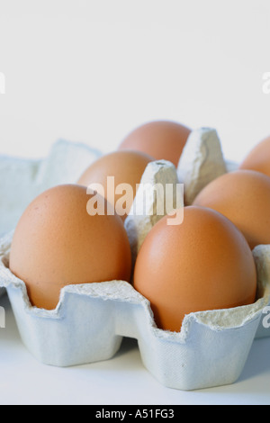 Eggs in an egg box Stock Photo