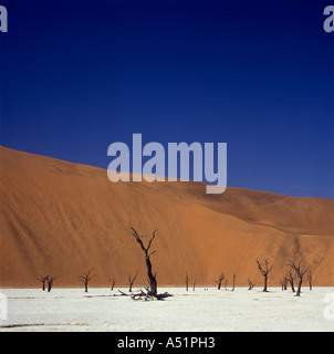 Dead trees and sand dunes in Dead Vlei Soussesvlei Namibia Stock Photo