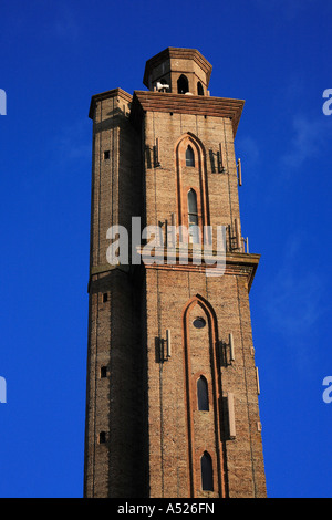 Sway Tower Hatchet Pond The New Forest National Park Hampshire England Stock Photo