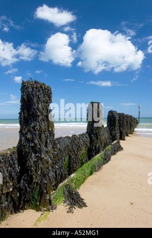 Close up sea wall coastal barrier in wood bolted together metal bolts nuts  brown rust colour in the salt water white sand, cotton fishing net seaweed  Stock Photo - Alamy