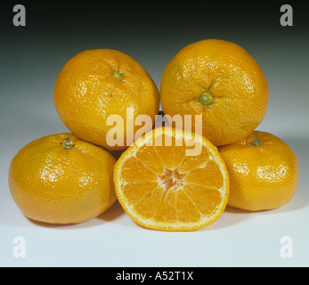 Whole and sectioned well coloured mandarin fruit variety Satsuma Stock Photo