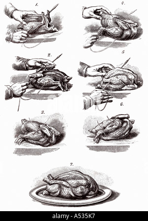 Trussing poultry illustration Stock Photo