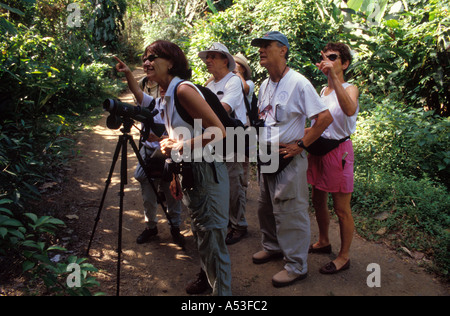 Costa Rica Carara Biological Reserve tourists wildlife viewing with female naturalist guide Stock Photo