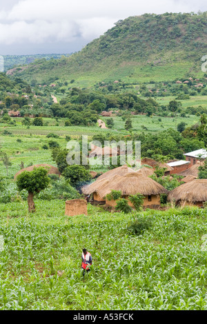 The wet rainy season at a village near Nkhoma Malawi Africa Stock Photo