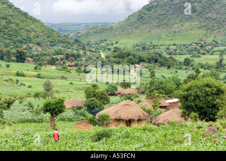 The wet rainy season at a village near Nkhoma Malawi Africa Stock Photo