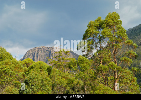 Landscape near Kia Ora Hut at Overland Track in Cradle Mountain Lake St Clair Nationalpark Tasmania Australia Stock Photo