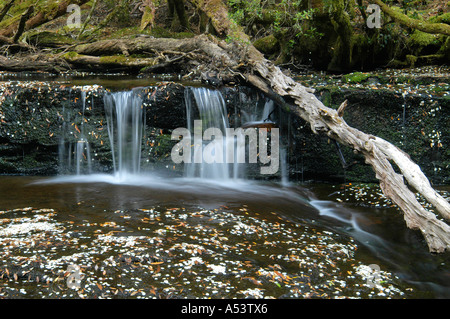 Cephissus Falls - Cradle Mountain Lake St Clair National Park ...