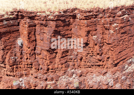 Red rocks and Spinifex grass Karijini National Park Pilbara region western australia WA