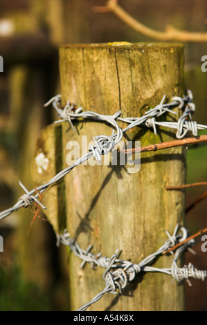 Closeup of barbed wire fence Stock Photo - Alamy