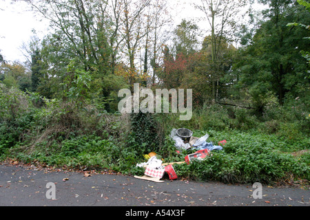 Illegal fly tipping in conservation area Stock Photo