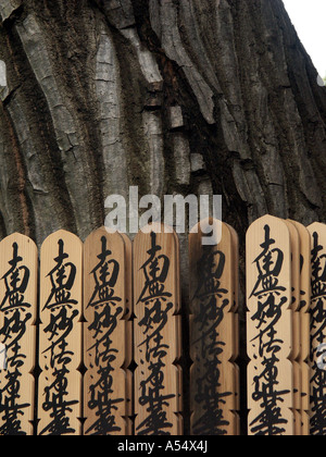 Painet ip2062 japan detail graveyard buddhist temple tokyo 2003 country developing nation less economically developed Stock Photo
