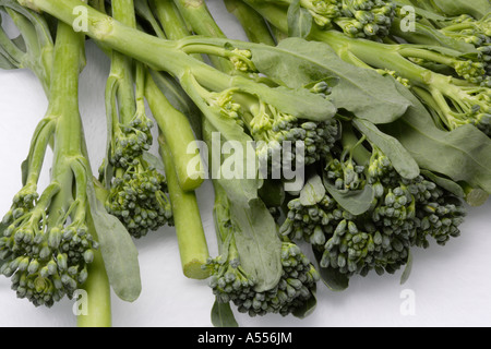 Tenderstem broccoli Stock Photo