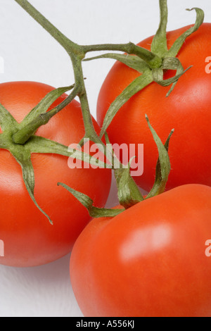 Vine Tomatoes Stock Photo