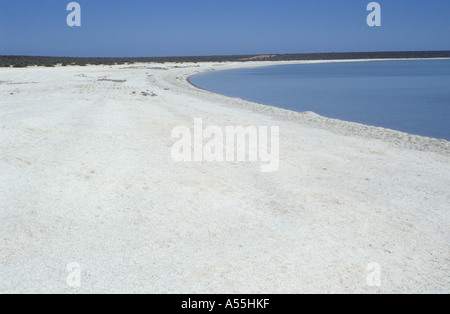 A white beach made by small shells in the shark bay Western Australia Stock Photo