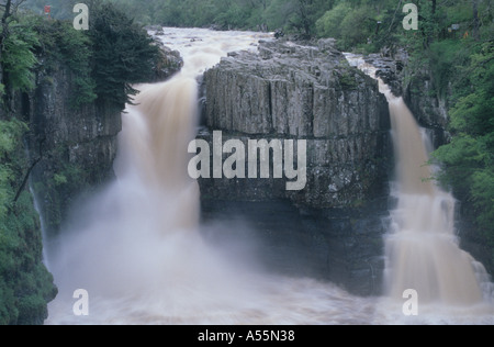 The River Tees drops over High Force waterfall in Upper Teesdale, County Durham. It is shown here in flood Stock Photo