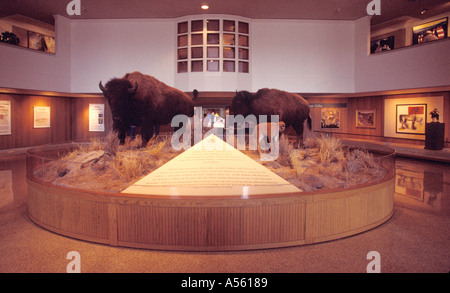 Wyoming Cody Buffalo Bill Historical Center interior main entrance lobby bison Stock Photo