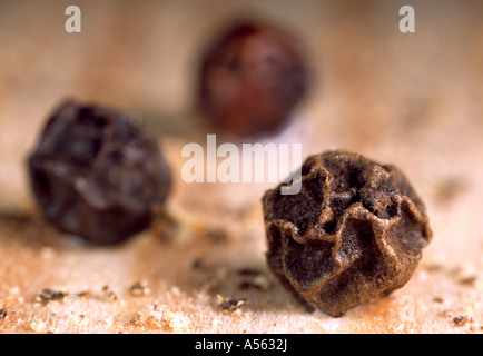 Highly magnified peppercorns, still life. Stock Photo