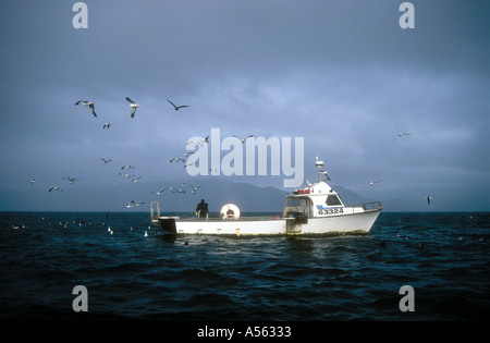 A motor fishing vessel off Kaikoura Marlborough South Island New Zealand Stock Photo