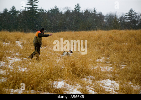 Pointer Send in Snow Squall Stock Photo
