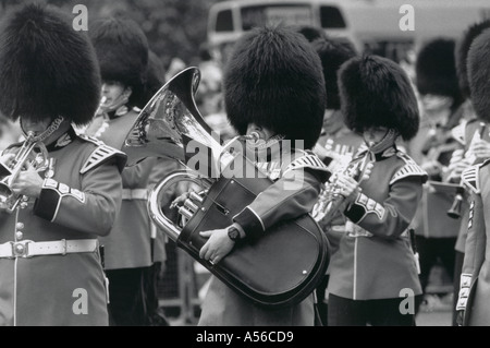 Guardsmen in the Queen s Golden Jubilee Celebrations Stock Photo