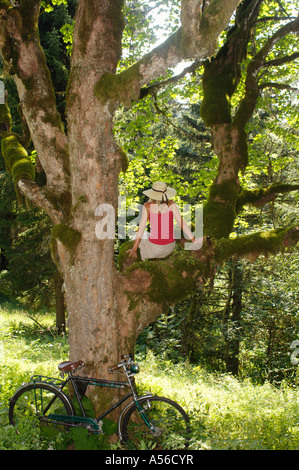 Young woman sitting on tree, rear view Stock Photo