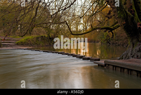 Stepping Stones across the River Mole near Dorking Surrey in Winter Stock Photo