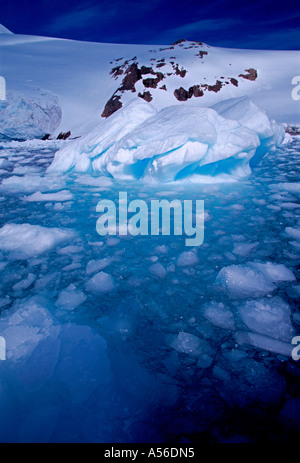 glacier, glaciers, berry bits, granite rock outcrop, continental landing, Neko Harbor, Neko Harbour, Andvord Bay, Antarctic Peninsula, Antarctica Stock Photo