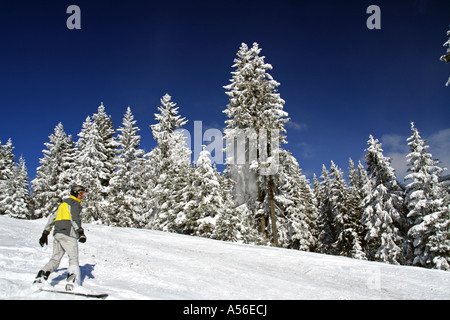 Snowboarder in the Swiss ski resort of Les Diablerets Stock Photo