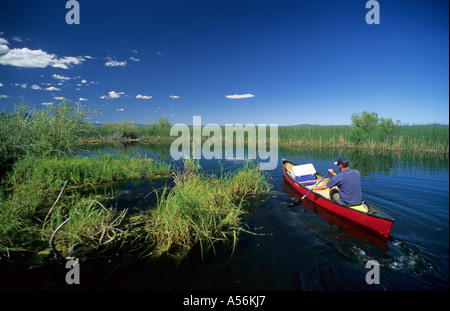 Canoe on Upper Klamath Lake, Oregon, USA Stock Photo