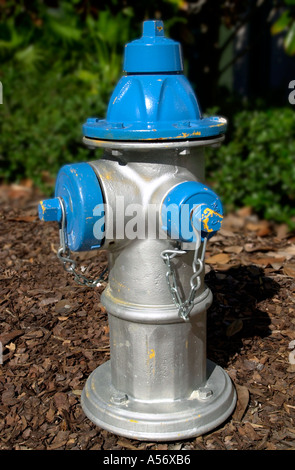 Fire Hydrant, International Drive, Orlando, Florida, USA Stock Photo