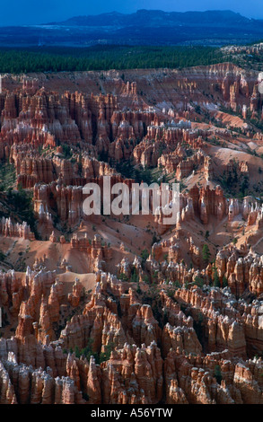 Bryce Amphitheater Bryce Canyon Nationalpark Utah USA Stock Photo