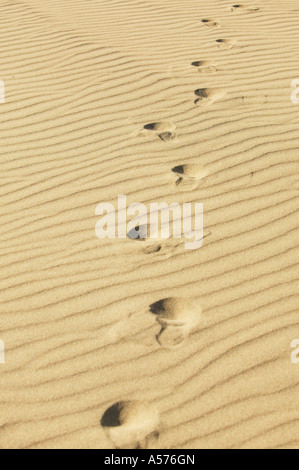 USA, California, San Francisco, traces in sand Stock Photo