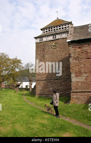 UK Wales Herefordshire Skenfrith woman walking dog in churchyard of St Bridgets Church Stock Photo