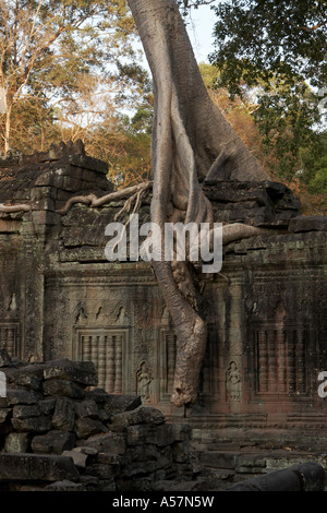 Preah Khan Temple Angkor Wat Cambodia Stock Photo