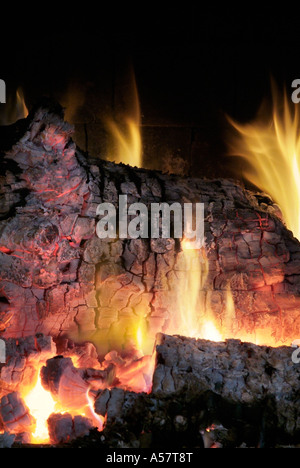Close up of burning timber bonfire in summer forest. The concept of ...