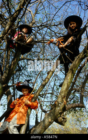 France Three Children Perched On A Tree And Dressed Like Sorcerers For Halloween Stock Photo