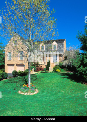 Exterior view of sloping front yard of tan brick two story house with budding tree surrounded by tulips Property released Stock Photo