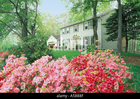 Red and pink azaleas bloom in foreground of angled view of two story frame house and attached garage Property released Stock Photo