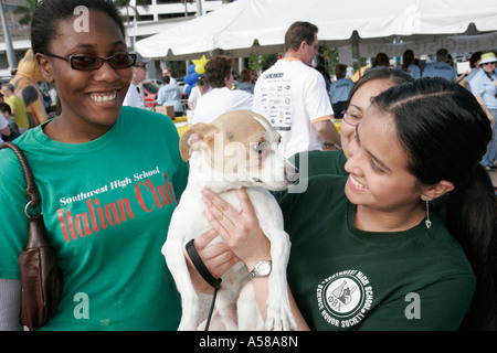 Miami Florida,Bayfront Park,Purina Walk for the Animals,fundraiser,corporate,sponsor animal,student students pupil youth,volunteer volunteers communit Stock Photo