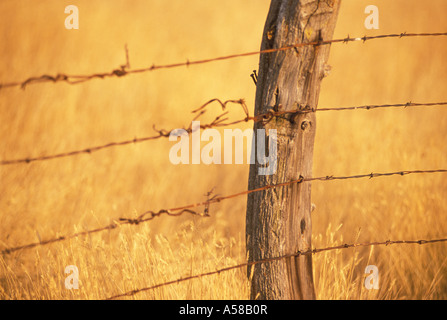 Old fence and post at a Dude Ranch Knife River Ranch North Dakota Stock Photo