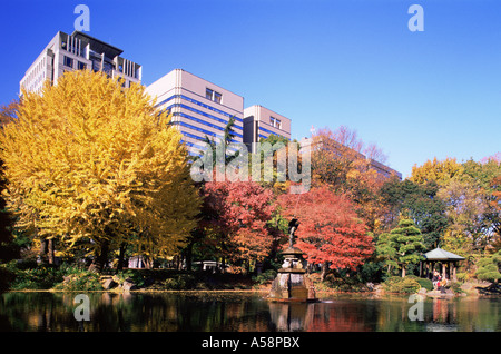 Japan, Tokyo, Hibiya Park, Autumn Foliage Stock Photo