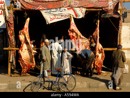 Butcher Camel Camels Asyut Egypt Egyptian Market town city Nile Desert Stock Photo