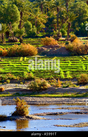 Draa river Morocco Stock Photo - Alamy