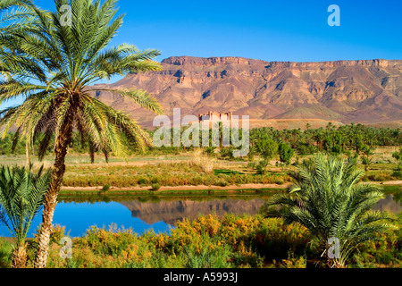 Kasbah at Tamnougalt near Agdz Draa valley Morocco Stock Photo