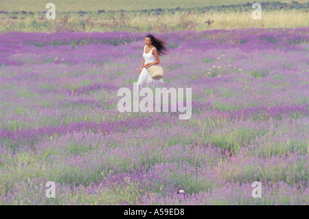 Woman in white dress moving through field of lavender in Provence Stock Photo