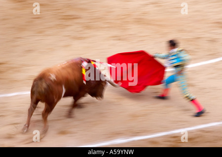 Bullfight, Las Ventas, Madrid, Spain Stock Photo