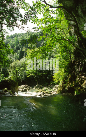 Belize Blue Creek river emerging from the hill Stock Photo