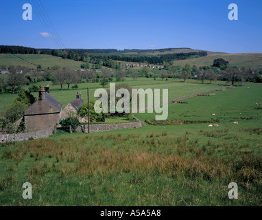 View over fields towards Falstone village in spring, Northumberland National Park, England, UK. Stock Photo