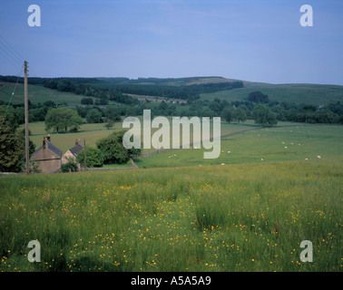 View over fields towards Falstone village, early summer, Northumberland, England, UK. Stock Photo